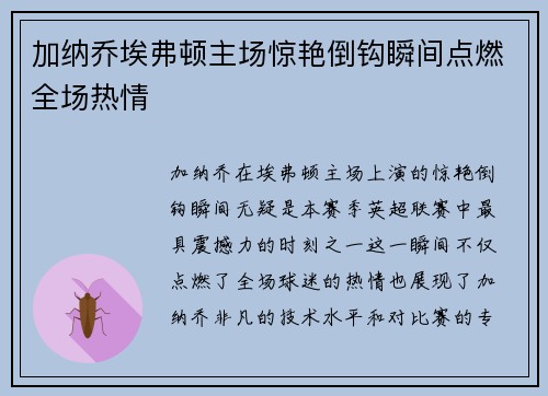 加纳乔埃弗顿主场惊艳倒钩瞬间点燃全场热情